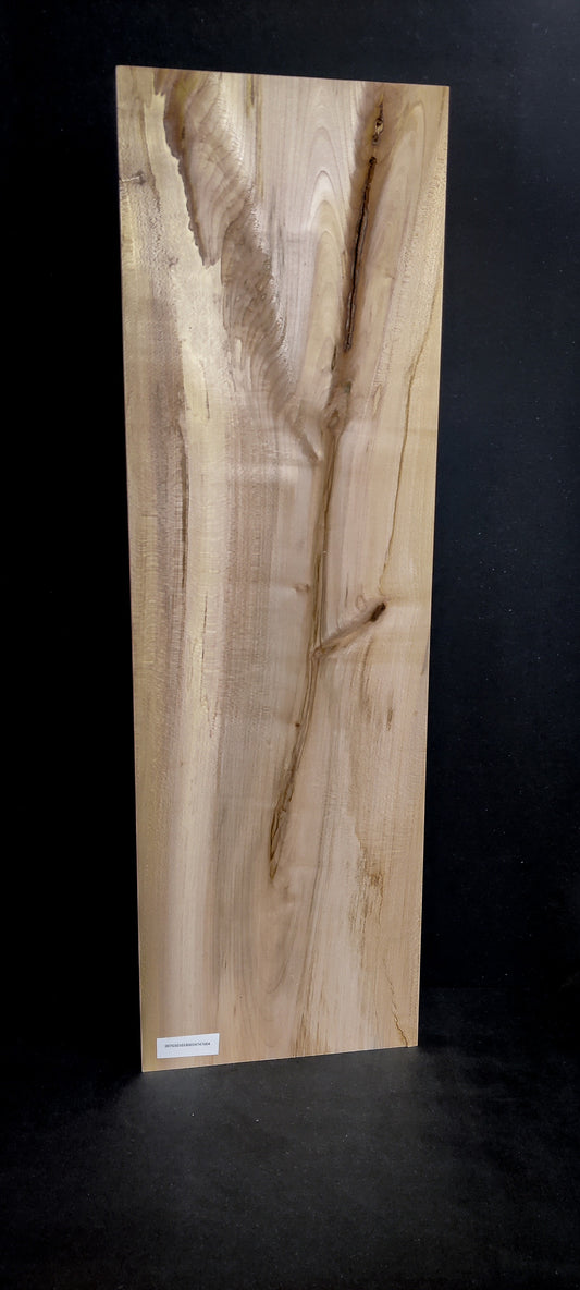 Spalted Maple (Europees)