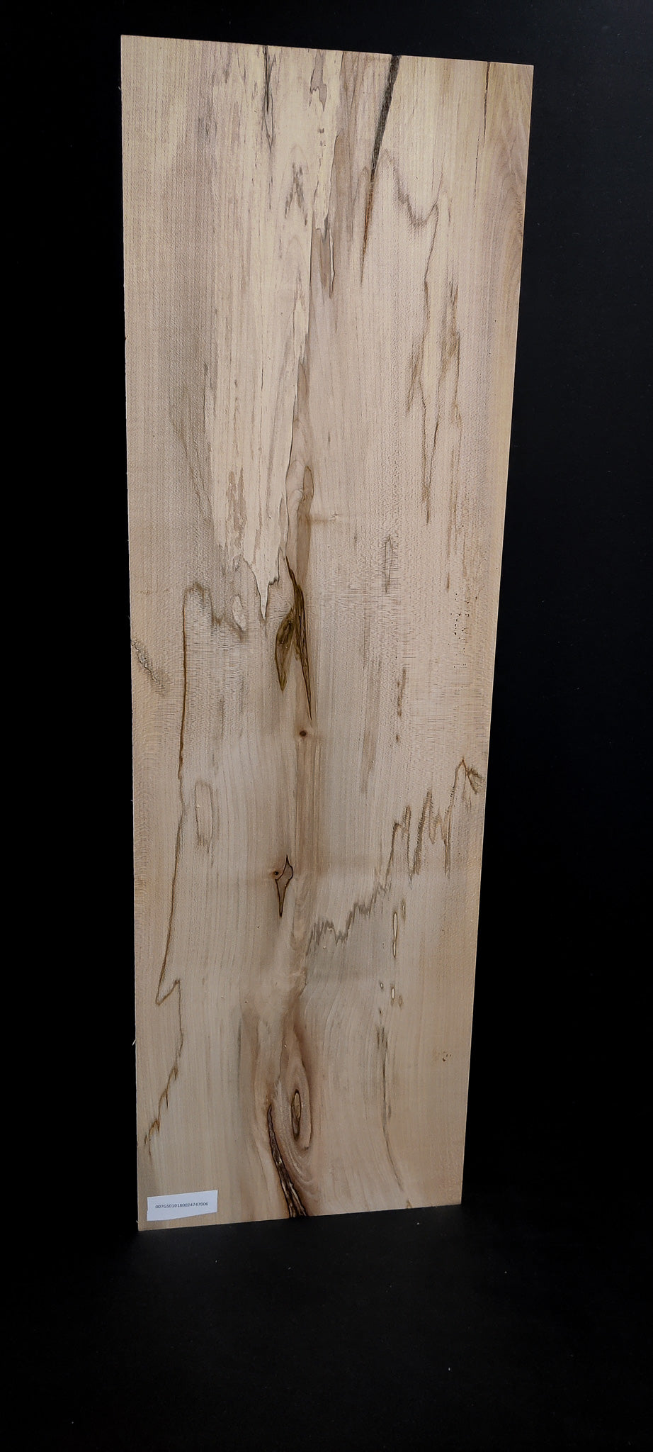 Spalted Maple (Europees)